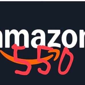 アマゾン550