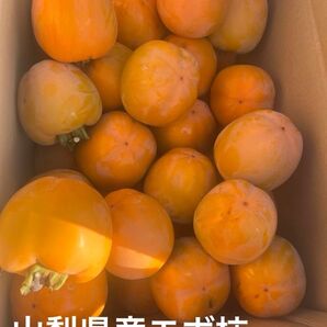 山梨県産エボ柿 梱包資材込み 8キロ