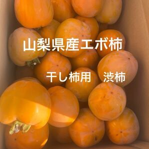 山梨県産エボ柿 梱包資材込み 8kg