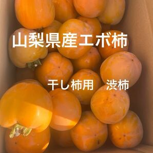 山梨県産エボ柿 梱包資材込み 8kg