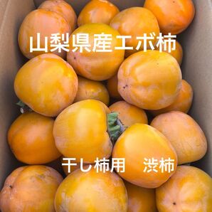 山梨県産エボ柿 梱包資材込み 8kg