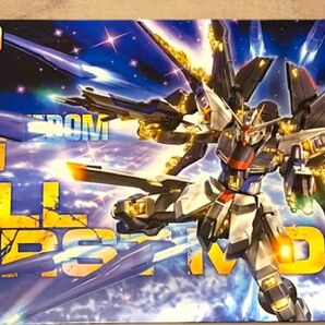 MG ストライクフリーダムガンダム フルバーストモード 機動戦士ガンダムSEED DESTINY