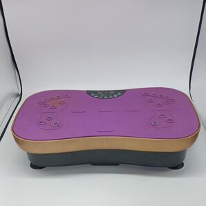 TO-KAI TH-001-V 振動マシン パープル