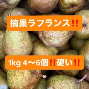 山形県産 摘果ラフランス 10キロ!硬い!