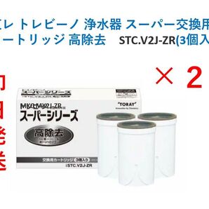 【新品・即日発送】トレビーノ スーパーカートリッジ 高除去 STC.V2J-ZR(3個入) × 2箱