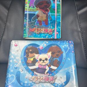 ワンタメ カードファイル セット