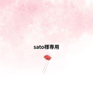 sato様専用