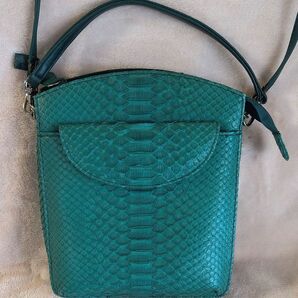 【美品】パイソン エメラルドグリーン系 2way ショルダーバッグ ハンドバッグ エキゾチックレザー