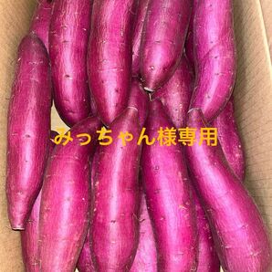 千葉県産シルクスイートM 15㎏