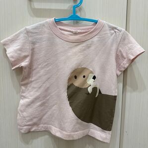 無印良品 ラッコTシャツ