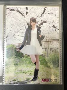 藤江れいな AKB48 NMB48 AKBと×× DVD 特典 生写真b A-19