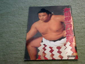 大相撲一月場所　　国技館　1995年1月　　パンフレット　財団法人　日本相撲協会