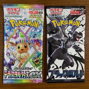 素人サーチ済 テラスタルフェスex ブラックボルト 2パック セット 未開封 新品 クーポン可能 ポケモンカード