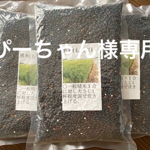 栃木県小山市産 令和6年産黒450g×3