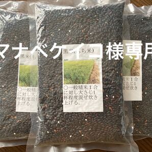 栃木県小山市産 令和6年度黒450g×3