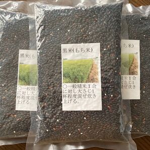 栃木県小山市産 令和6年度黒米450g