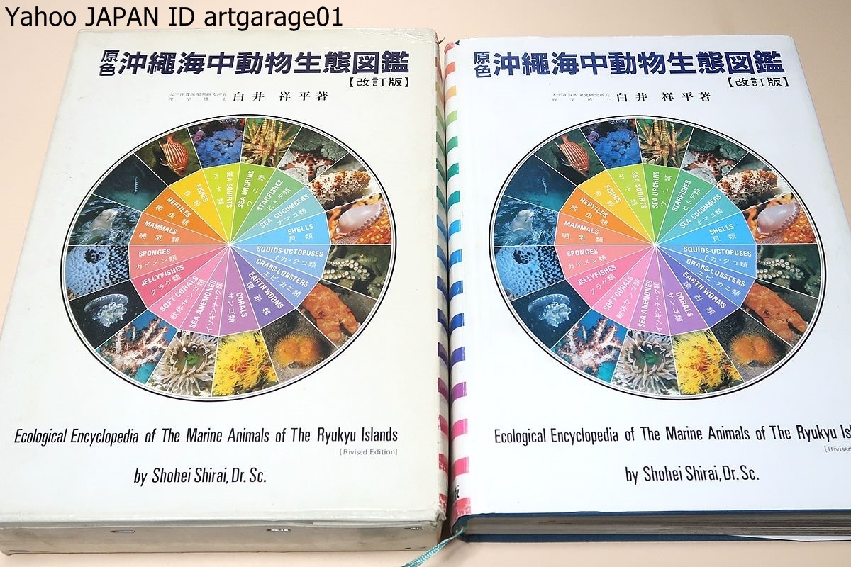 2023年最新】ヤフオク! -沖縄海中動物生態図鑑の中古品・新品・未使用