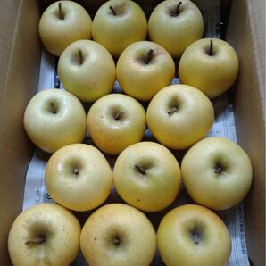 長野県産 シナノゴールド 小玉