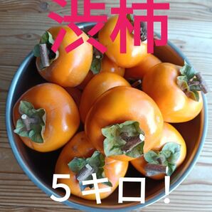 群馬県産★渋柿 5 キロ!!