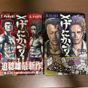 げにかすり 1巻 2巻 迫稔雄 最新作 2冊セット