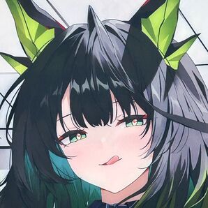 Mon3ter 抱き枕カバー 2WT 160x50cm