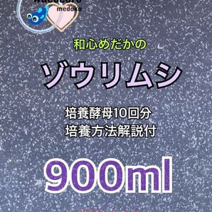 ★培養酵母10回分付き★和心めだか★こだわりのゾウリムシ900ml★めだかの針子・幼魚・ミジンコなどに最適★ネコポス発送