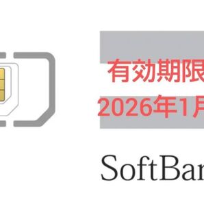 SMS受信 認証可能 プリペイドSIM 10枚 SIMカード SoftBank iPhone