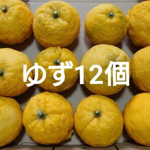 ゆず、柚子【12個】約1.1kg 群馬県産 本日発送可能