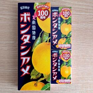 ボンタンアメ 3種類セット 南国特産 100周年記念 セイカ食品
