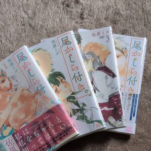 尾かしら付き。1〜4巻 佐原ミズ 4冊セット