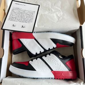 29cm 新品NIKE JORDAN NU RETRO 1 G ゴルフシューズ