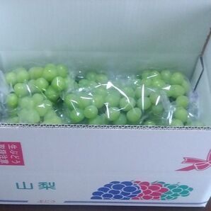 山梨県産シャインマスカット4Kg☆3