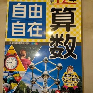 自由自在 算数 小学1・2年 新学習指導要領対応 受験研究社