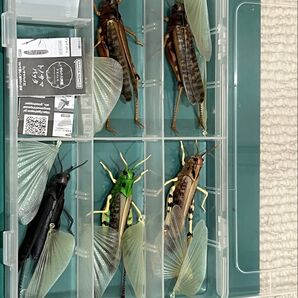 ※商品確認用②※ 購入しないでください