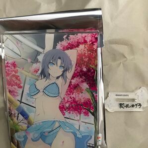 閃乱カグラ 雪泉 アクリルスタンド アクスタ