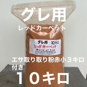 グレ用撒き餌 エサ取り取り粉赤小3キロ付き レッドカーペット10キロ