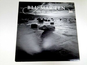 2973【ＬＰ盤】★☆めったに出品されない◎Blu Mar Ten　　WHY ME WHY NOW　　ブルーマルテン　☆★