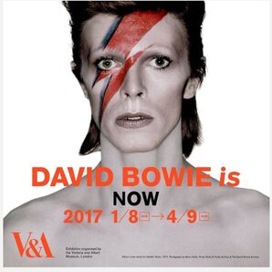 デヴィッド・ボウイ★クリアファイル DAVID BOWIE