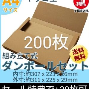 ネコポスクリックポストゆうパケット定形外郵便A4 ヤッコ型200枚+20枚