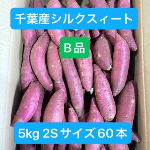 千葉県産シルクスィート