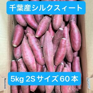 千葉県産シルクスィート