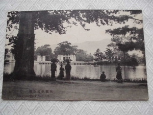 B54　絵葉書　ポストカード　札幌中島公園　戦前