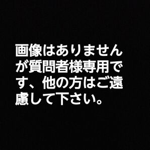 質問者野菜炒め様専用トレーディングカードゲーム