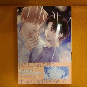 BL How to melt 末広マチ