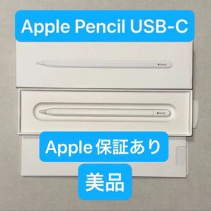 【公式保証あり】Apple Pencil(USB-C)アップルペンシル M2 M3 M4 iPad Pro、Air など