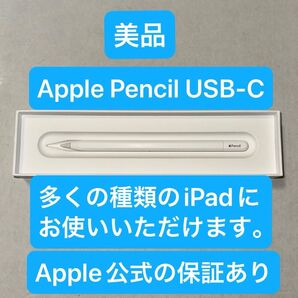 【美品】Apple Pencil(USB-C) アップルペンシル iPad Pro, Air M2 M3,mini A17