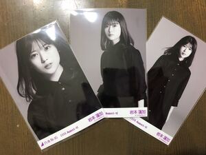 乃木坂46 岩本蓮加 生写真 モノクロームポートレイト 2020.August-Ⅵ 三種 コンプ