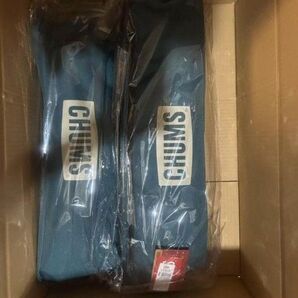 2脚 新品未使用 CHUMS チャムス パッカブルチェアハイ