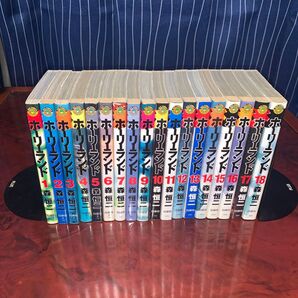 全巻完結セット ホーリーランド 全18巻 森恒二