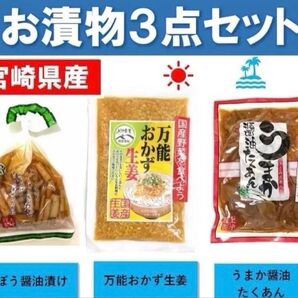 【宮崎のお漬物】万能おかずしょうが うまか醤油たくあん ごぼう醤油漬け 3袋